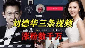 明星网红合唱抖音歌曲,明星网红同框合唱，音乐盛宴燃爆全网