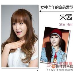 明星网红奇葩言论视频播放,视频播放量飙升揭秘