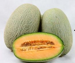 今日红星哈密瓜价格走势