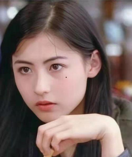 超多明星网红有哪些,揭秘当红明星与网红的璀璨风采