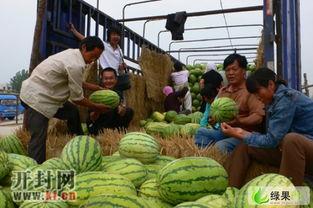 今日瓜价最新行情开封,今日瓜价波动，新鲜资讯一览”