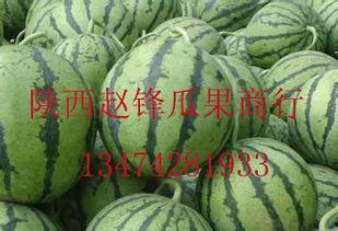 潍坊哈密瓜今日价格行情,价格行情一览