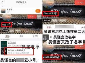 明星网红账号怎么包装的,打造爆款内容的包装秘籍