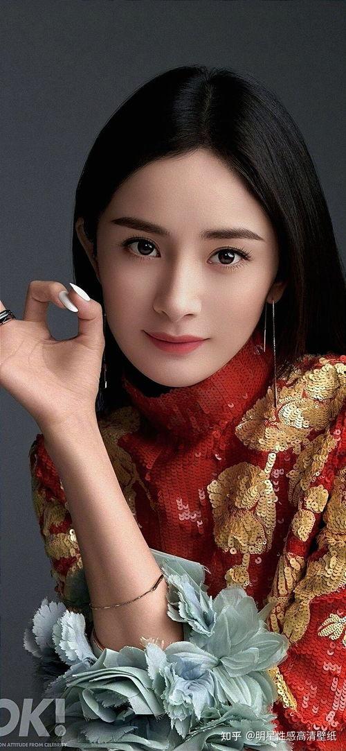 明星网红墙壁纸自粘