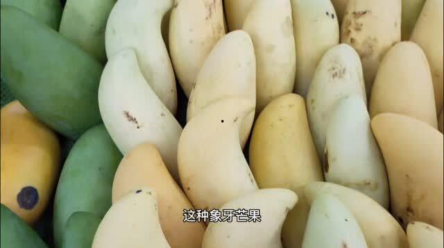 云南茭瓜今日价格最新,今日市场行情一览