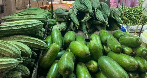 云南茭瓜今日价格最新,今日市场行情一览