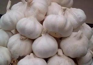 今日瓜茄最新行情,涨跌互现，市场动态一览