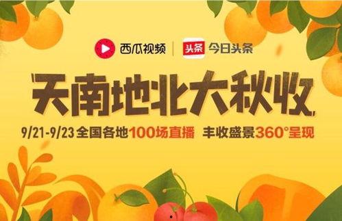 今日头条中的瓜,娱乐圈最新瓜料，明星隐私大曝光！