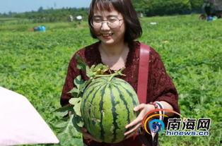 海口今日吃瓜新闻最新消息,真相竟如此反转！