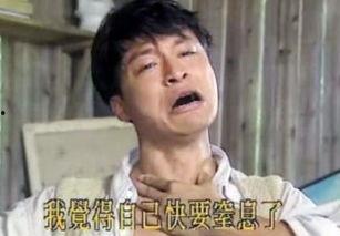 张明星网红演义是谁,网红演义中的璀璨星辰