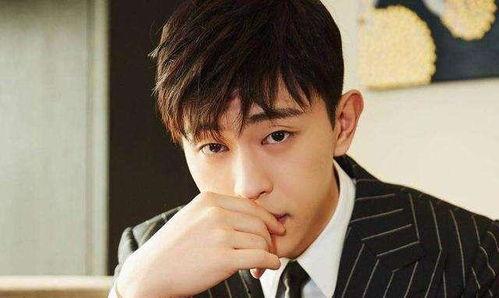 张明星网红演义是谁,网红演义中的璀璨星辰