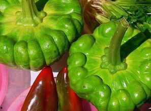 昆明姜柄瓜批发价格今日,品质与价格的完美结合”