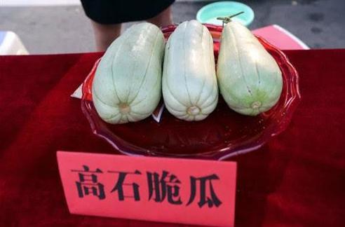高石脆瓜今日价格,市场行情一览