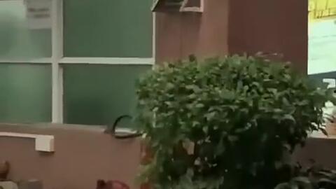 丽水今日吃瓜新闻,今日吃瓜新闻揭秘惊人内幕