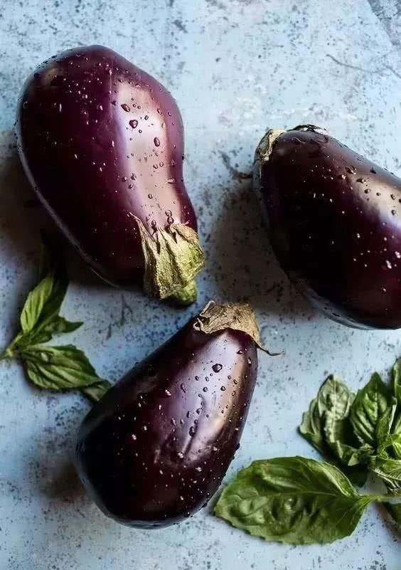 茂名茄瓜今日地里收购价,丰收背后的喜悦与挑战