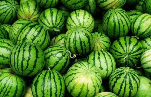 每日吃瓜今日必吃,揭秘娱乐圈新鲜事