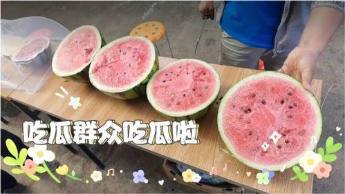 每日吃瓜今日必吃,揭秘娱乐圈新鲜事