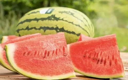 沙漠瓜今日行情,价格波动与市场动态一览