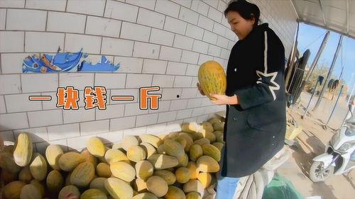 今日新疆瓜价多少钱一斤,多少钱一斤？