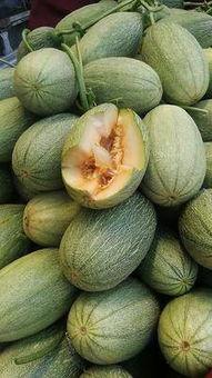 下桥哈密瓜批发市场今日行情,下桥哈密瓜批发市场价格波动解析