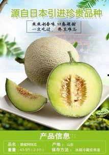 下桥哈密瓜批发市场今日行情,下桥哈密瓜批发市场价格波动解析