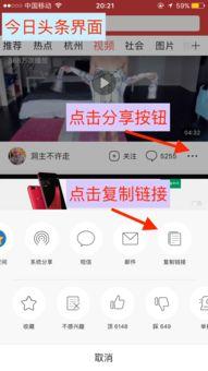 今日头条瓜妹,揭秘娱乐圈最新热点事件