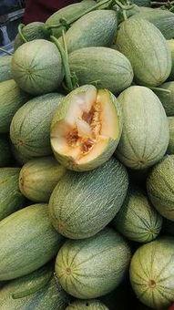 哈密瓜批发市场今日行情,价格波动与供需分析