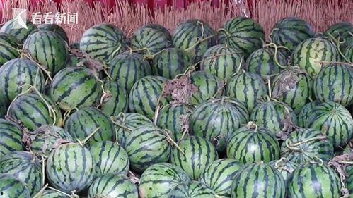 丽水今日热瓜价格行情最新,涨跌互现，市民关注度高