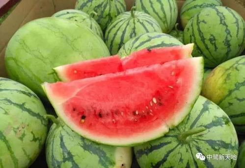 91cg7.fun今日吃瓜,揭秘娱乐圈最新热点事件