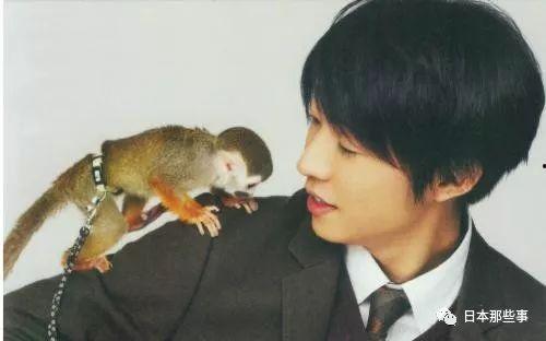 东莞明星网红排名前十,十大明星网红闪耀登场