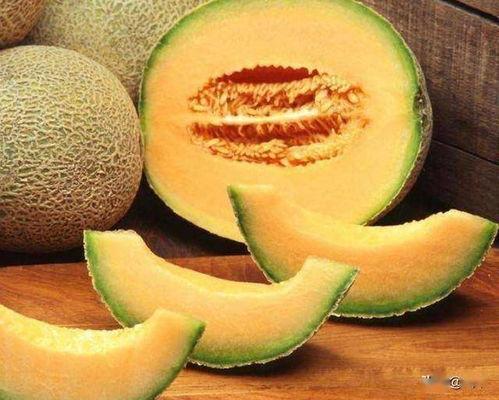 哈密瓜今日价格行情四月九号,市场波动下的价格走势分析”