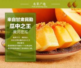 黄河蜜瓜今日价格,价格行情一览