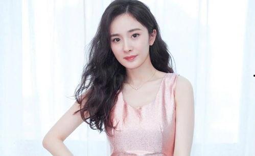 明星网红演戏同框图片