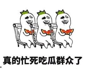 51吃瓜今日必吃句句刨坟,今日必吃句句刨坟，揭秘娱乐圈幕后真相