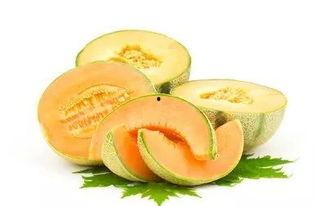 哈密瓜今日上线了吗,尽享夏日清新美味