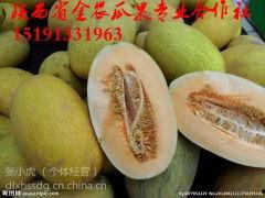 聊城哈密瓜价格今日价,价格行情一览