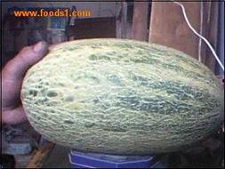 今日哈密瓜价格海南,市场行情一览